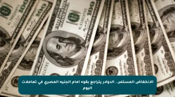 الانخفاض المستمر.. الدولار يتراجع بقوة أمام الجنيه المصري في تعاملات اليوم